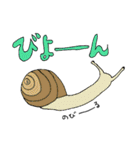 貴重なマイマイ（個別スタンプ：34）