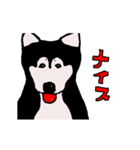 日本 柴犬 ファミリークラブ（個別スタンプ：6）