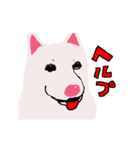 日本 柴犬 ファミリークラブ（個別スタンプ：7）