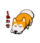 日本 柴犬 ファミリークラブ（個別スタンプ：13）