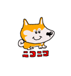 日本 柴犬 ファミリークラブ（個別スタンプ：17）