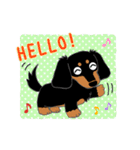 Daks black tan and Toy poodle（個別スタンプ：3）