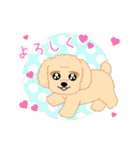 Daks black tan and Toy poodle（個別スタンプ：4）