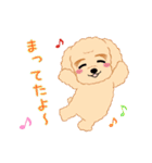 Daks black tan and Toy poodle（個別スタンプ：5）