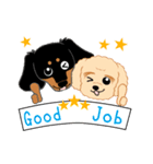 Daks black tan and Toy poodle（個別スタンプ：7）