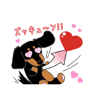 Daks black tan and Toy poodle（個別スタンプ：9）