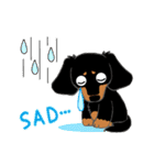 Daks black tan and Toy poodle（個別スタンプ：11）