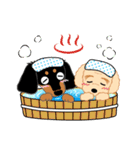 Daks black tan and Toy poodle（個別スタンプ：14）