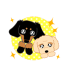 Daks black tan and Toy poodle（個別スタンプ：15）