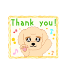 Daks black tan and Toy poodle（個別スタンプ：18）