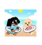 Daks black tan and Toy poodle（個別スタンプ：19）