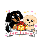 Daks black tan and Toy poodle（個別スタンプ：20）
