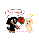 Daks black tan and Toy poodle（個別スタンプ：22）