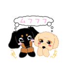 Daks black tan and Toy poodle（個別スタンプ：24）