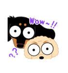 Daks black tan and Toy poodle（個別スタンプ：26）
