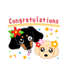 Daks black tan and Toy poodle（個別スタンプ：27）