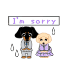 Daks black tan and Toy poodle（個別スタンプ：29）