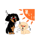 Daks black tan and Toy poodle（個別スタンプ：35）