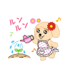 Daks black tan and Toy poodle（個別スタンプ：36）