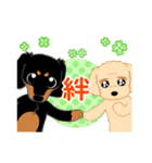 Daks black tan and Toy poodle（個別スタンプ：40）