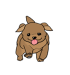 groovy dogs（個別スタンプ：1）