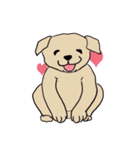 groovy dogs（個別スタンプ：2）