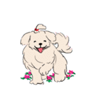 groovy dogs（個別スタンプ：4）
