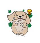 groovy dogs（個別スタンプ：11）