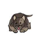 groovy dogs（個別スタンプ：13）