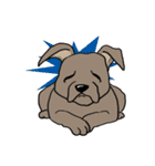 groovy dogs（個別スタンプ：16）