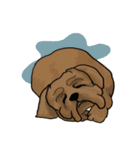 groovy dogs（個別スタンプ：17）