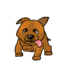 groovy dogs（個別スタンプ：19）