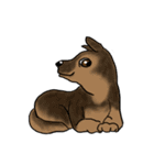 groovy dogs（個別スタンプ：20）