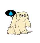 groovy dogs（個別スタンプ：23）