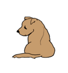 groovy dogs（個別スタンプ：24）