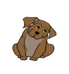 groovy dogs（個別スタンプ：25）