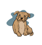 groovy dogs（個別スタンプ：26）