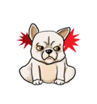 groovy dogs（個別スタンプ：30）