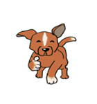 groovy dogs（個別スタンプ：36）