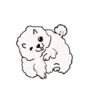 groovy dogs（個別スタンプ：37）