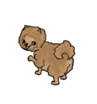 groovy dogs（個別スタンプ：39）