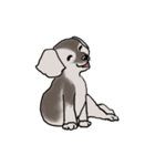 groovy dogs（個別スタンプ：40）