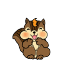 Lovely squirrels（個別スタンプ：12）