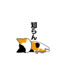 猫とおしゃべり（個別スタンプ：15）