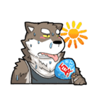 Brown Wolf（個別スタンプ：36）