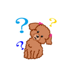 トイプーのルナちゃん（個別スタンプ：11）