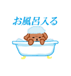 トイプーのルナちゃん（個別スタンプ：16）