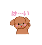 トイプーのルナちゃん（個別スタンプ：17）