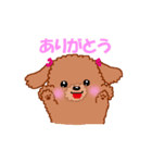 トイプーのルナちゃん（個別スタンプ：19）