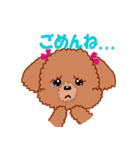 トイプーのルナちゃん（個別スタンプ：20）